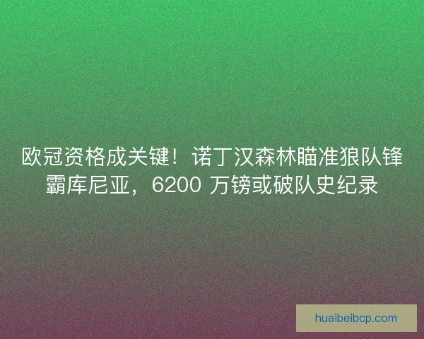 欧冠资格成关键！诺丁汉森林瞄准狼队锋霸库尼亚，6200 万镑或破队史纪录