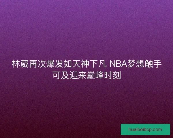 林葳再次爆发如天神下凡 NBA梦想触手可及迎来巅峰时刻 林葳再次爆发如天神下凡 NBA梦想触手可及迎来巅峰时刻