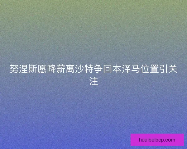努涅斯愿降薪离沙特争回本泽马位置引关注