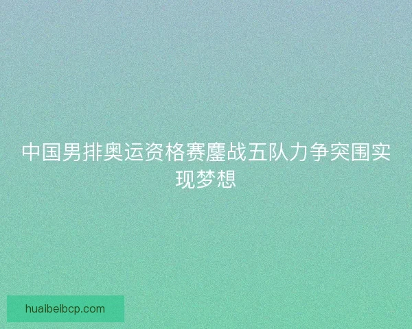 中国男排奥运资格赛鏖战五队力争突围实现梦想